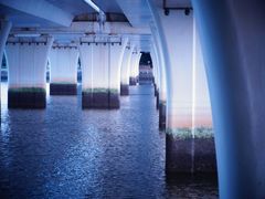 -五缘湾湿地公园