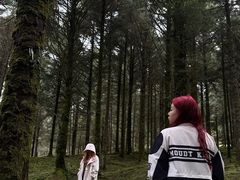 -硗碛藏寨·神木垒景区