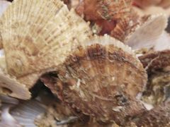 -北方饺子王·海肠捞饭·海鲜锅(山大店)