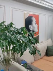 -美妍纹绣·半永久纹眉