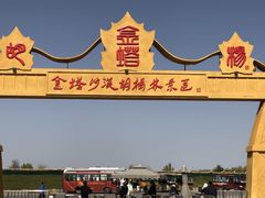 -金塔沙漠胡杨林景区