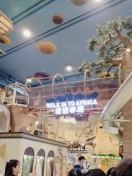 -卡通尼·Safari非洲探索乐园·生日会(金桥国际商业广场店)