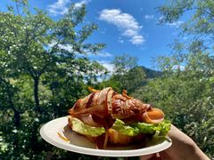 -大岭沟猕猴桃谷风景区