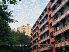 -丁阿纸面馆