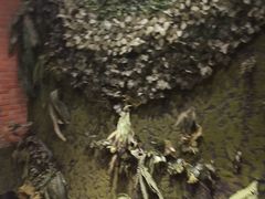 -肖记公安牛肉鱼杂馆· 省级非物质文化遗产(仁和路店)