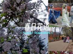 -洛阳市隋唐城遗址植物园
