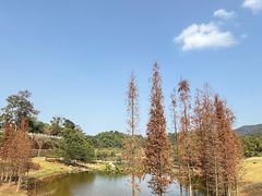 -国恩寺