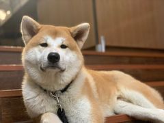 -YCHL Studios健身工作室(市二宫店)