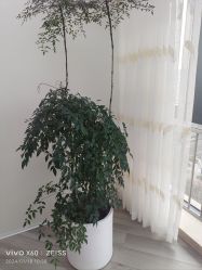 -HEYAN荷妍专业脱毛连锁机构