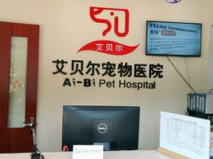 -艾贝尔宠物医院 ·内科全科(梁溪路店)
