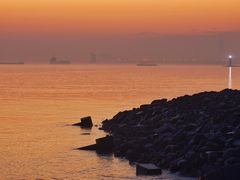 -上海吴淞炮台湾国家湿地公园