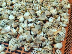 -巽寮印象美食部落餐厅·海鲜·地方特色菜(惠州体验店)