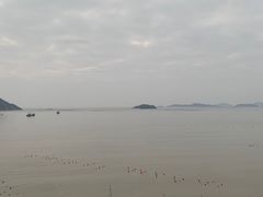 -北岐滩涂