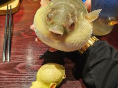 -永安鱼庄·镇江菜(东吴路店)