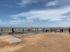 -日照灯塔风景区