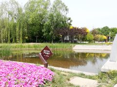 -武清南湖绿博园