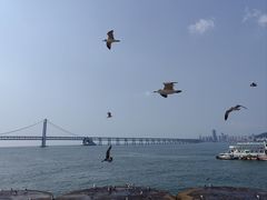 -星海广场