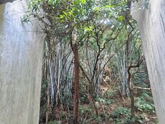 -谷丰健康凤贤居酒家