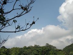 -广州市石门国家森林公园