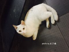 景观位-老头盖浇饭(南京新街口明瓦廊宏光酒店店)