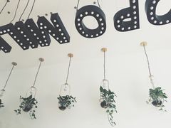 -ICEPOPO MILK(玉兰店)