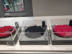 -ROSEONLY诺誓(国际广场购物中心店)