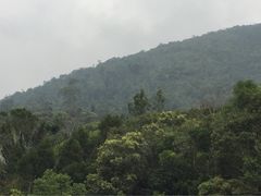 吊罗山国家森林公园-海南热带雨林国家公园吊罗山景区