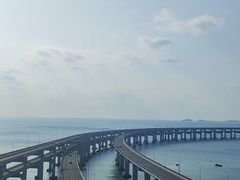 -星海湾跨海大桥