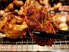 烤羊腿-柿子树炭烤羊腿(金台路店)