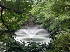 -井之头恩赐公园
