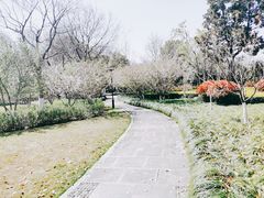 -杭州城北体育公园