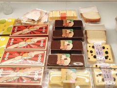 -蒲公英(五里店)