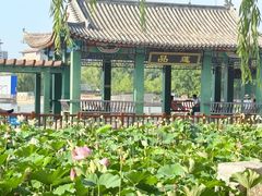 -莲花池公园