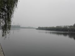 -淇河国家湿地公园