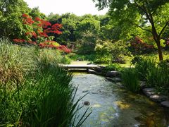 -上海滨江森林公园