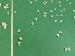 -沈阳市全民健身中心健身馆