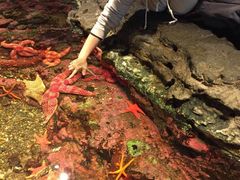 -西雅图水族馆