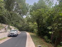 -合肥滨湖国家森林公园