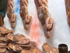 -初色海鲜自助(万丰路店)