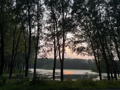 -东郊湿地公园