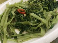 -姚林轩