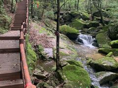-内乡宝天曼生态旅游区