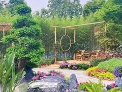 -深圳仙湖植物园