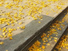 -龙寺生态园