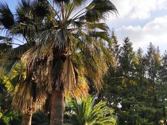 -苏州河梦清园环保主题公园