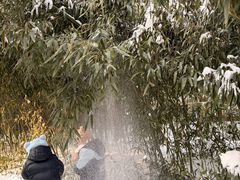 -郑州植物园