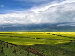 -青海湖国家重点风景名胜区