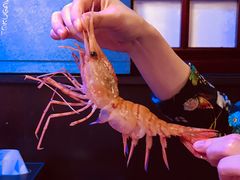 -德川家日本料理(中关村寰太大厦店)