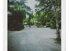 -绿光森林餐厅