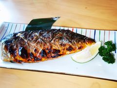 -吉炙烧鸟•本格料理(国际商贸城店)